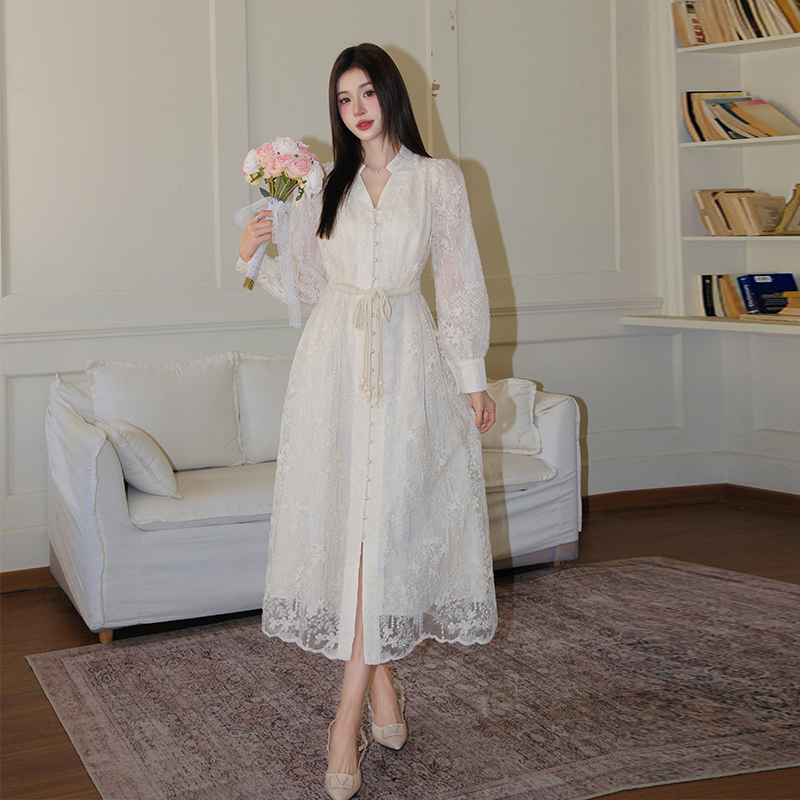 Elegant Embroidered V-Neck Lantern Sleeve A-Line Long Dress