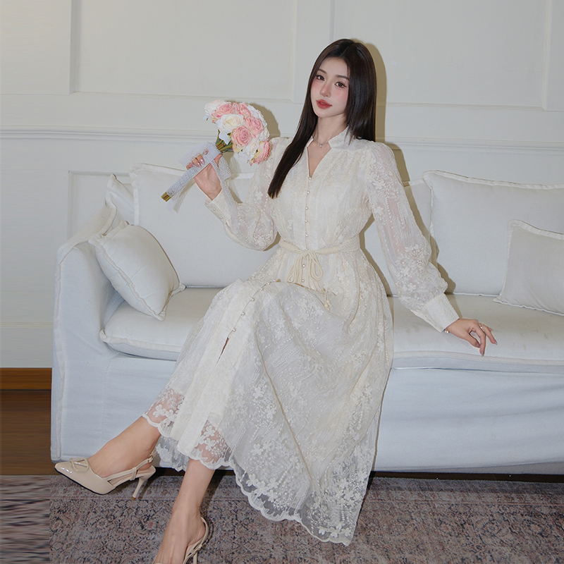 Elegant Embroidered V-Neck Lantern Sleeve A-Line Long Dress