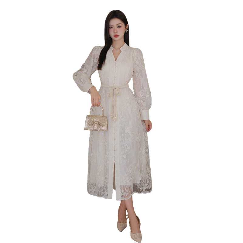 Elegant Embroidered V-Neck Lantern Sleeve A-Line Long Dress